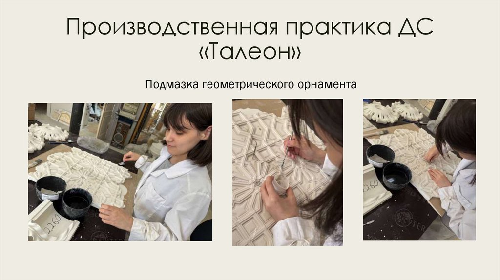 Производственная практика ДС «Талеон»