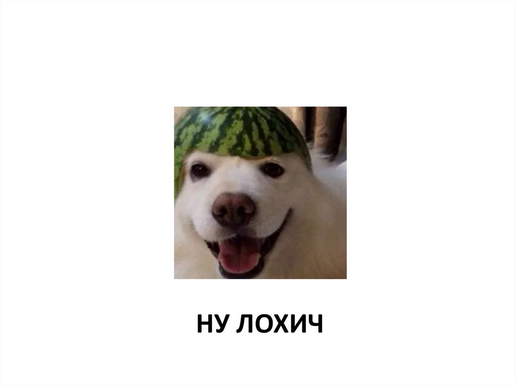 Ну лохич