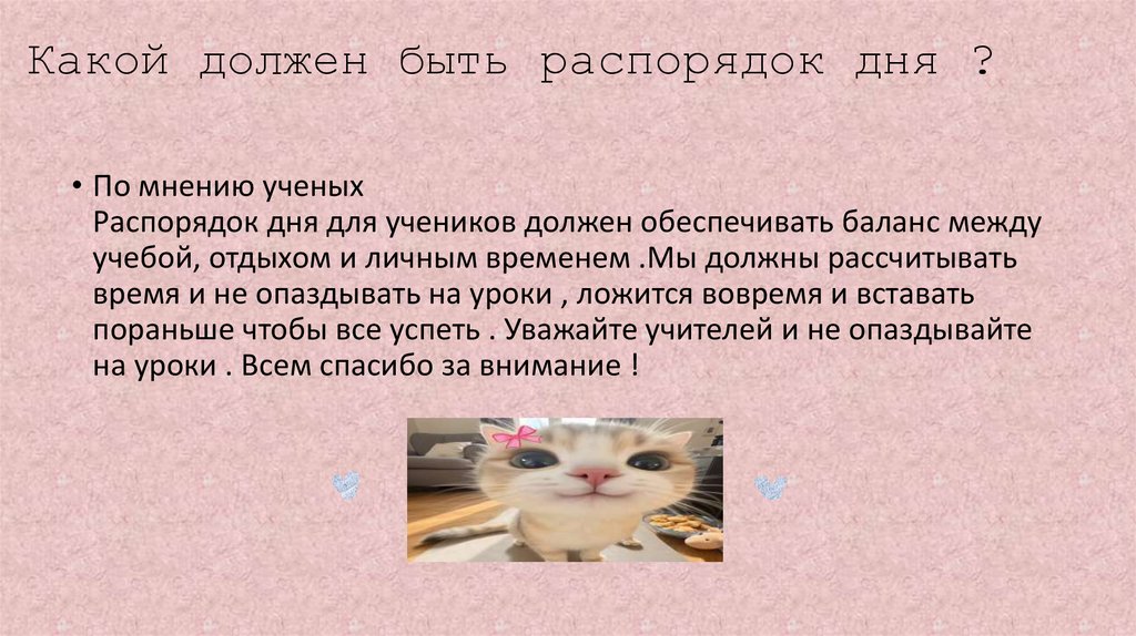 Какой должен быть распорядок дня ?