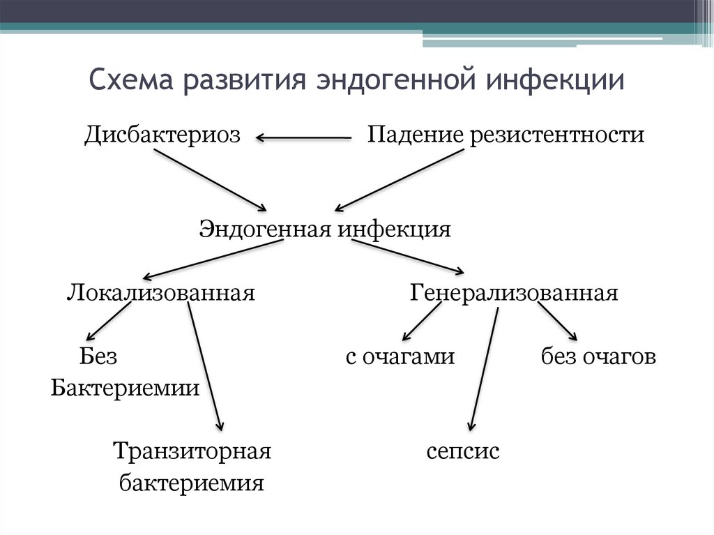 Схема развития эндогенной инфекции