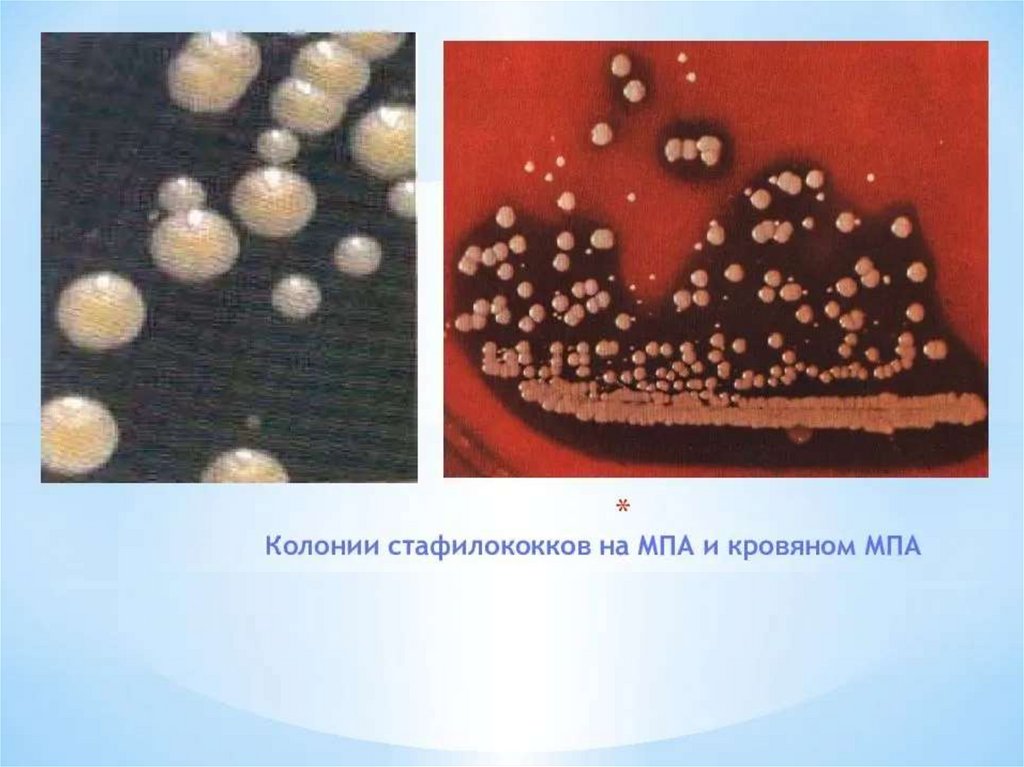 Лабораторная диагностика СИ