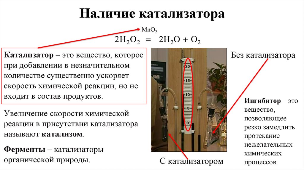 Наличие катализатора
