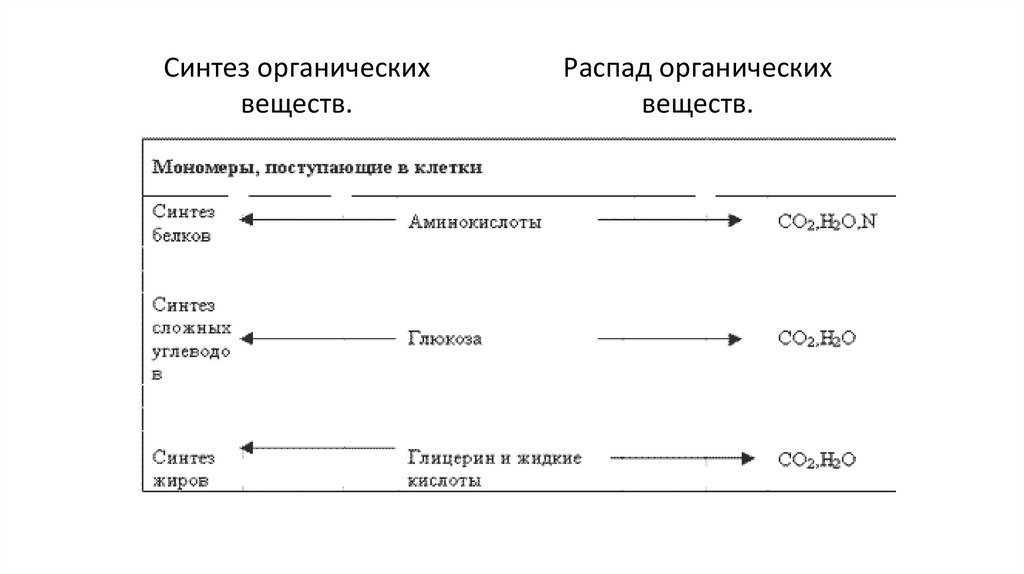 Синтез органических веществ.
