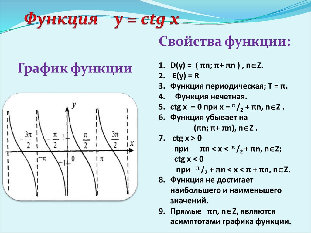 Функция y = ctg x