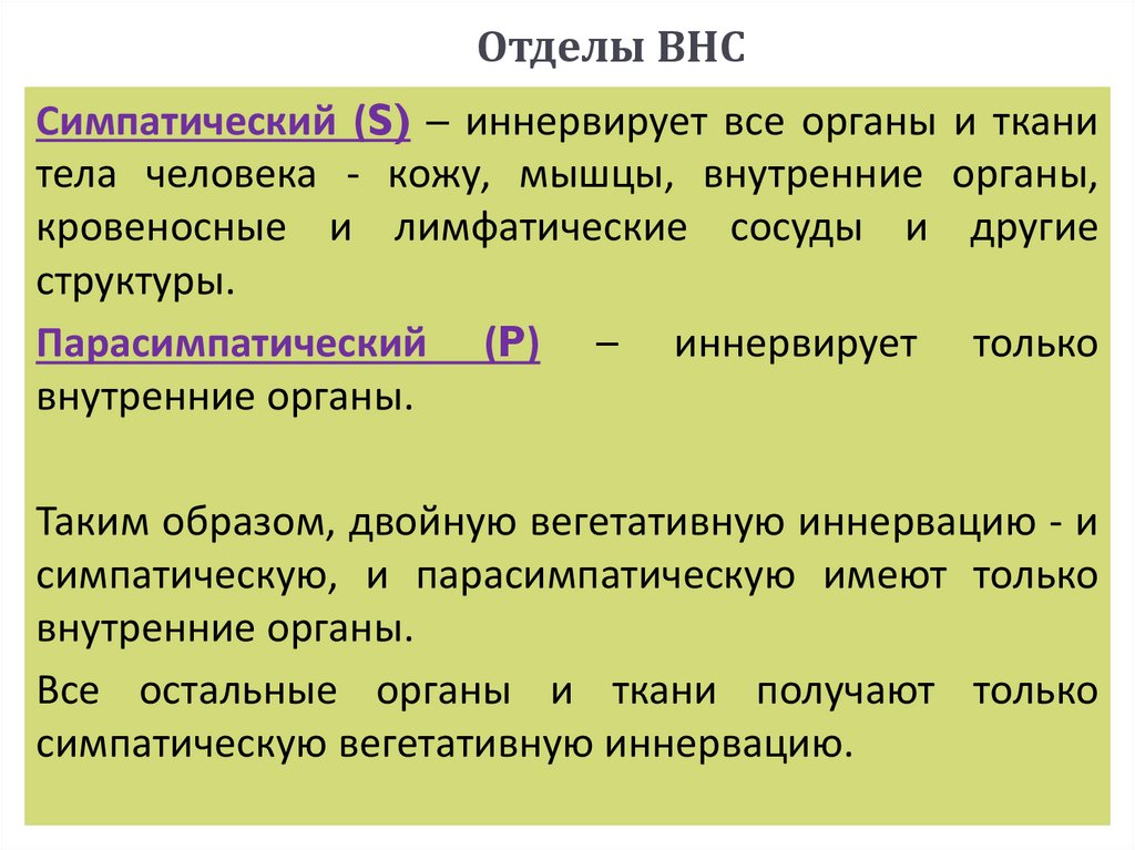 Отделы ВНС