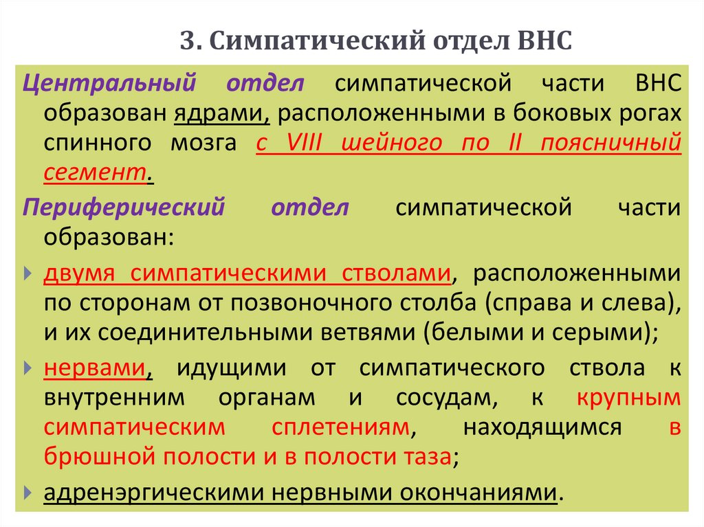 3. Симпатический отдел ВНС