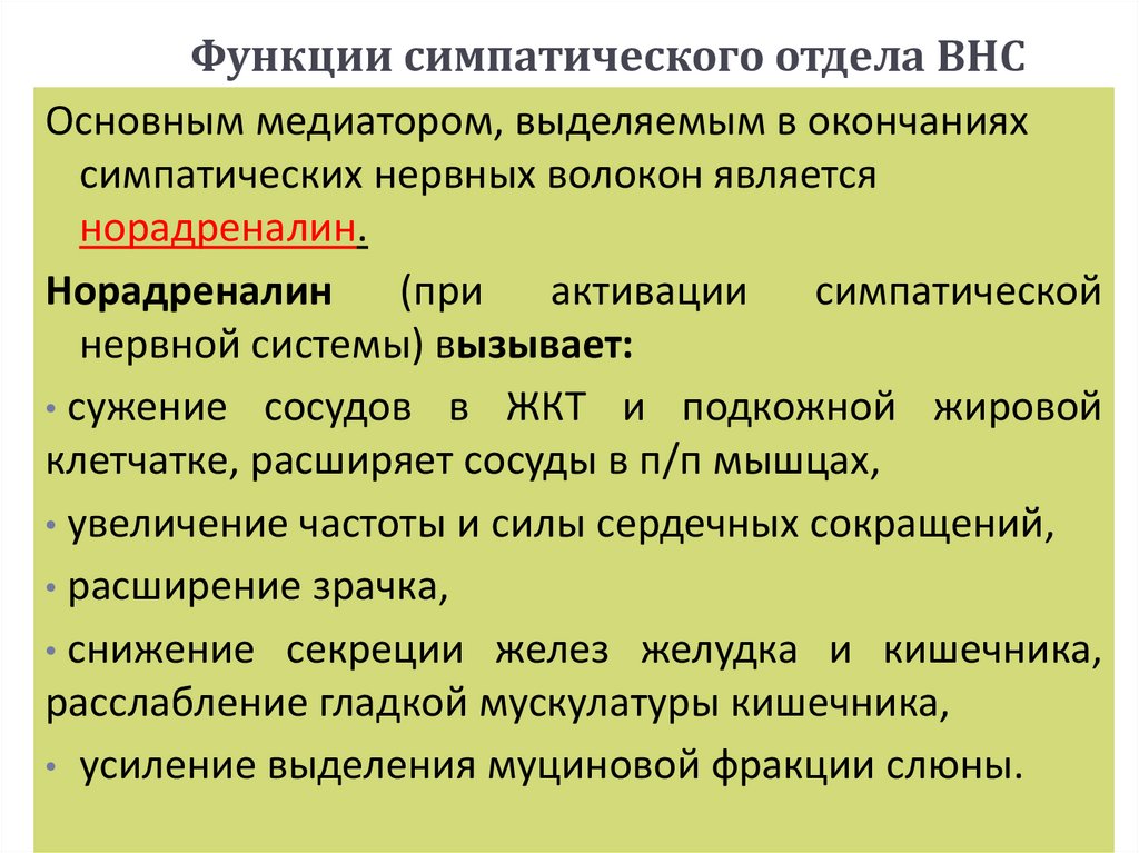 Функции симпатического отдела ВНС