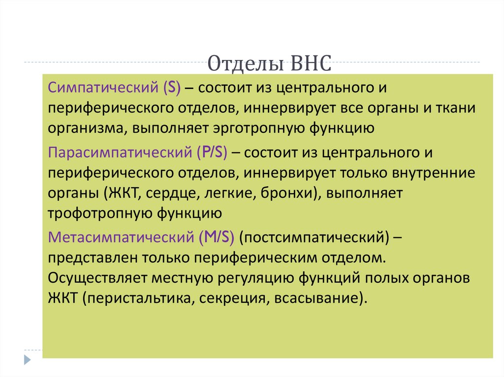 Отделы ВНС
