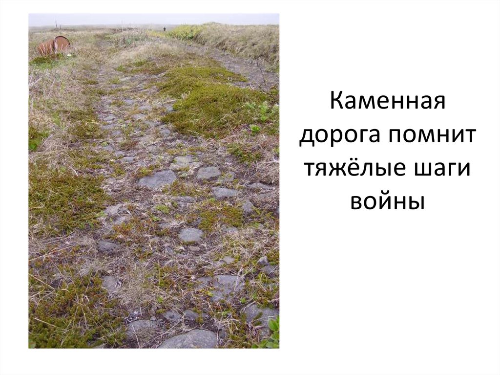 Каменная дорога помнит тяжёлые шаги войны