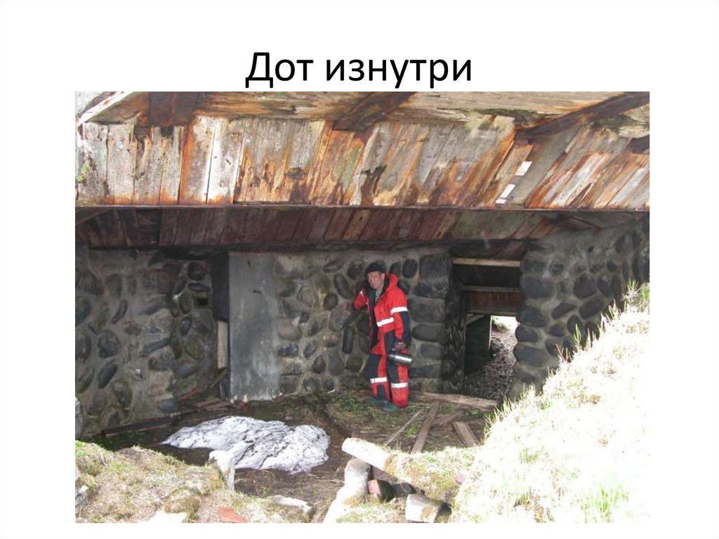 Дот изнутри