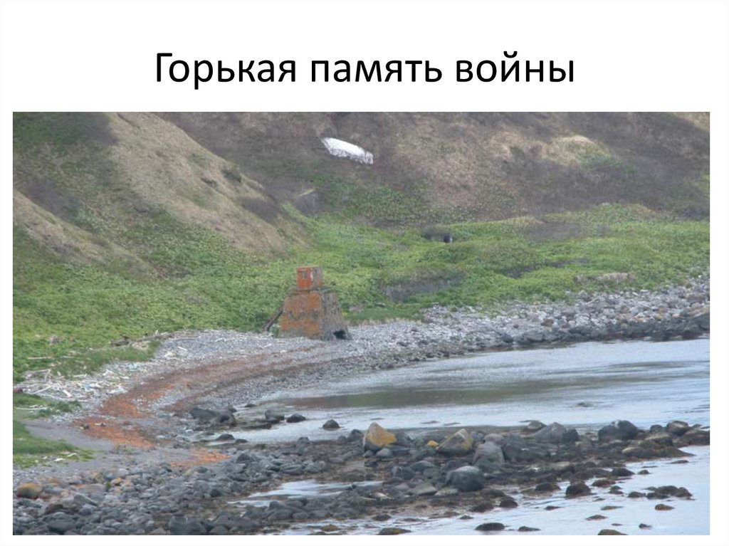 Горькая память войны