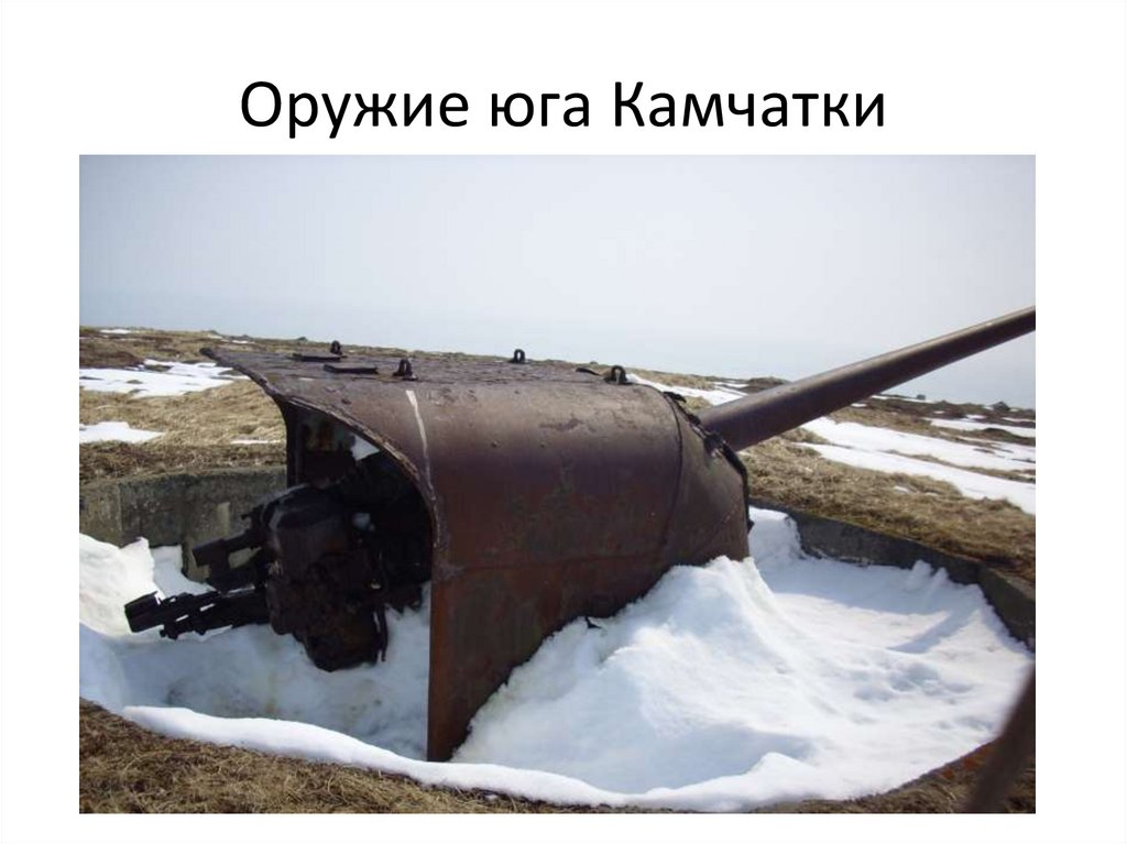 Оружие юга Камчатки