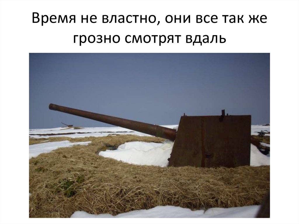 Время не властно, они все так же грозно смотрят вдаль