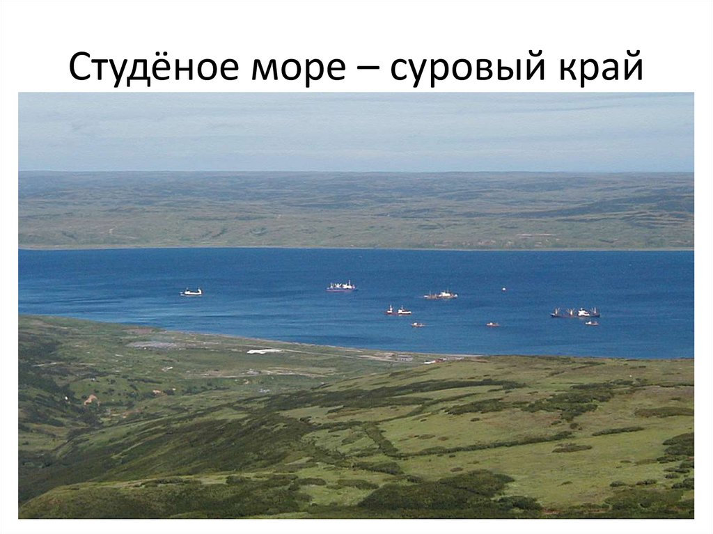 Студёное море – суровый край
