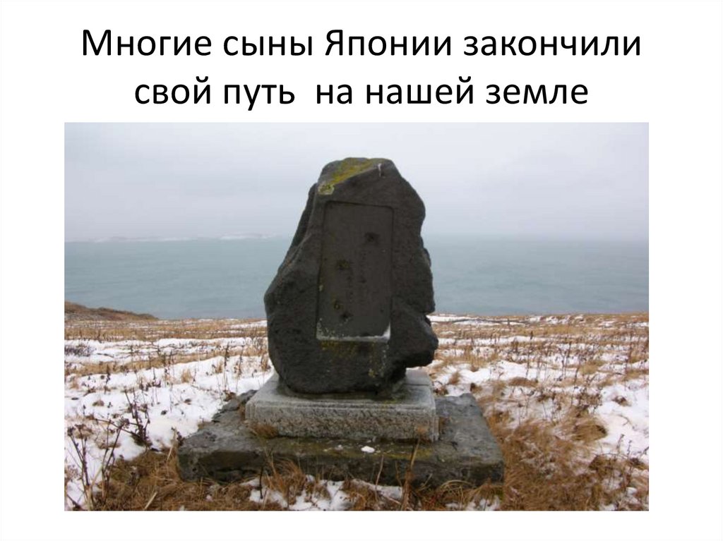 Многие сыны Японии закончили свой путь на нашей земле