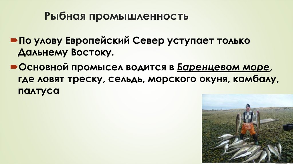 Рыбная промышленность