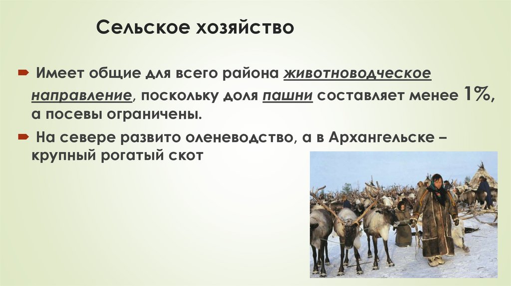 Сельское хозяйство