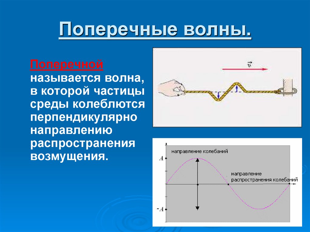 Поперечные волны.