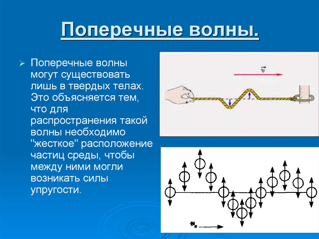 Поперечные волны.