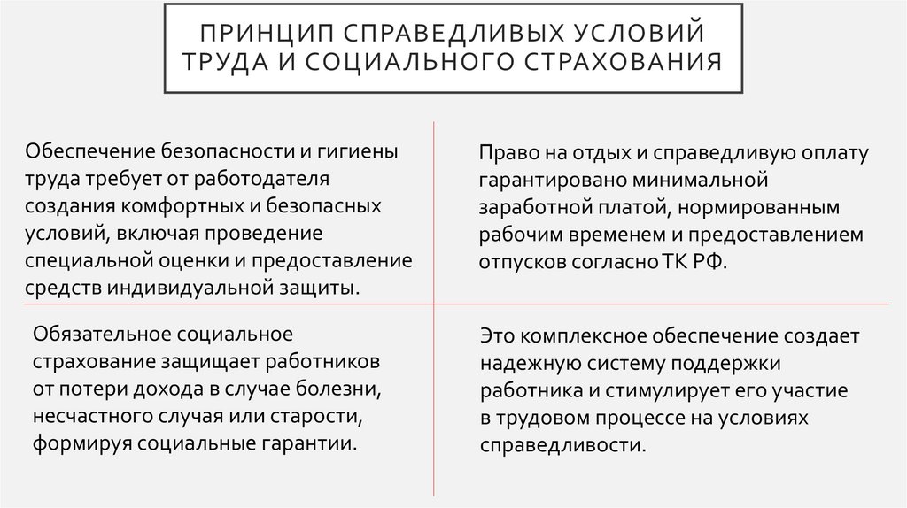 Принцип справедливых условий труда и социального страхования