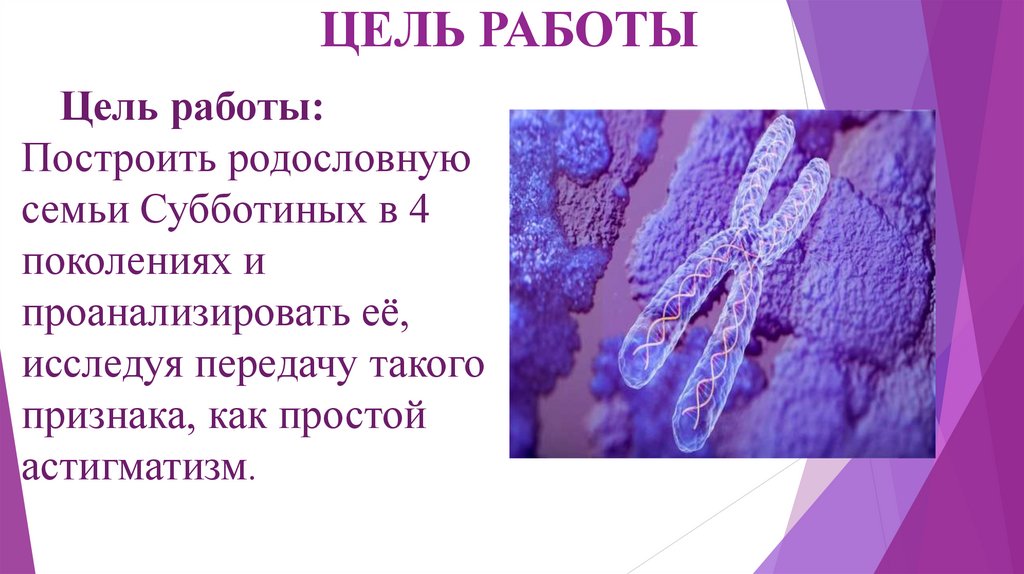 ЦЕЛЬ РАБОТЫ