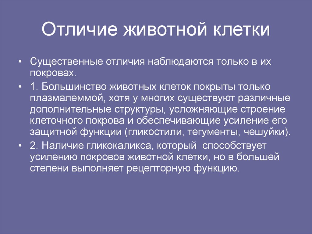 Отличие животной клетки