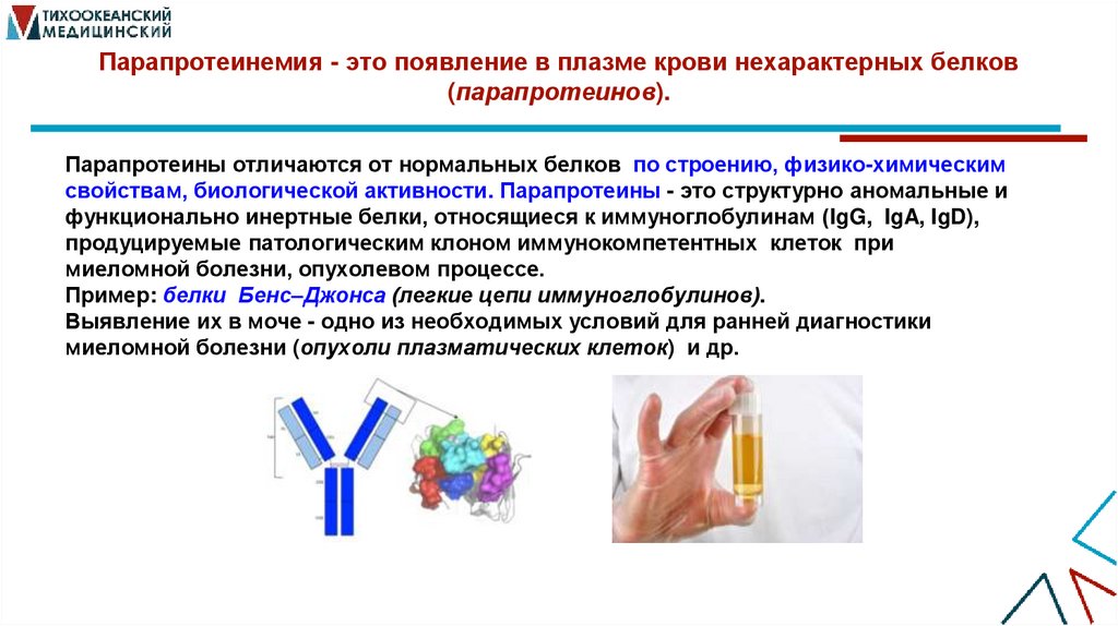 Парапротеинемия - это появление в плазме крови нехарактерных белков (парапротеинов).