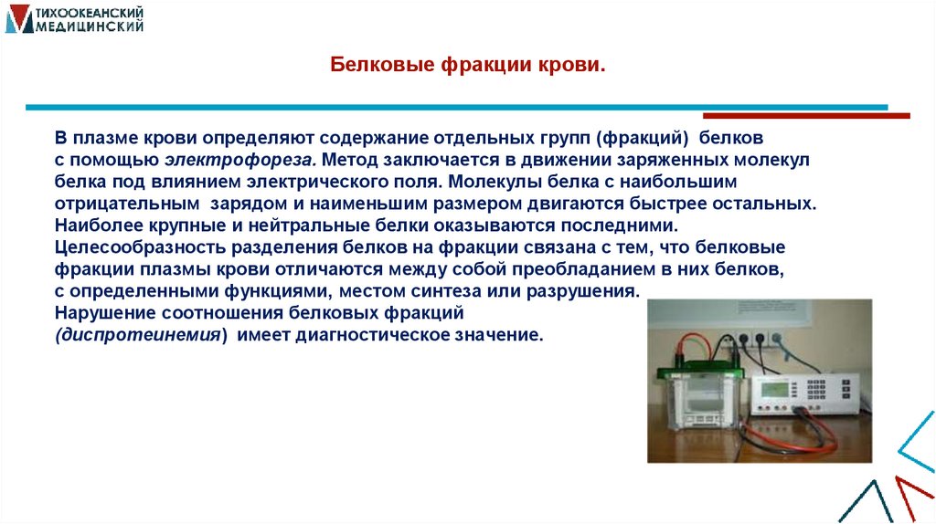 Белковые фракции крови.