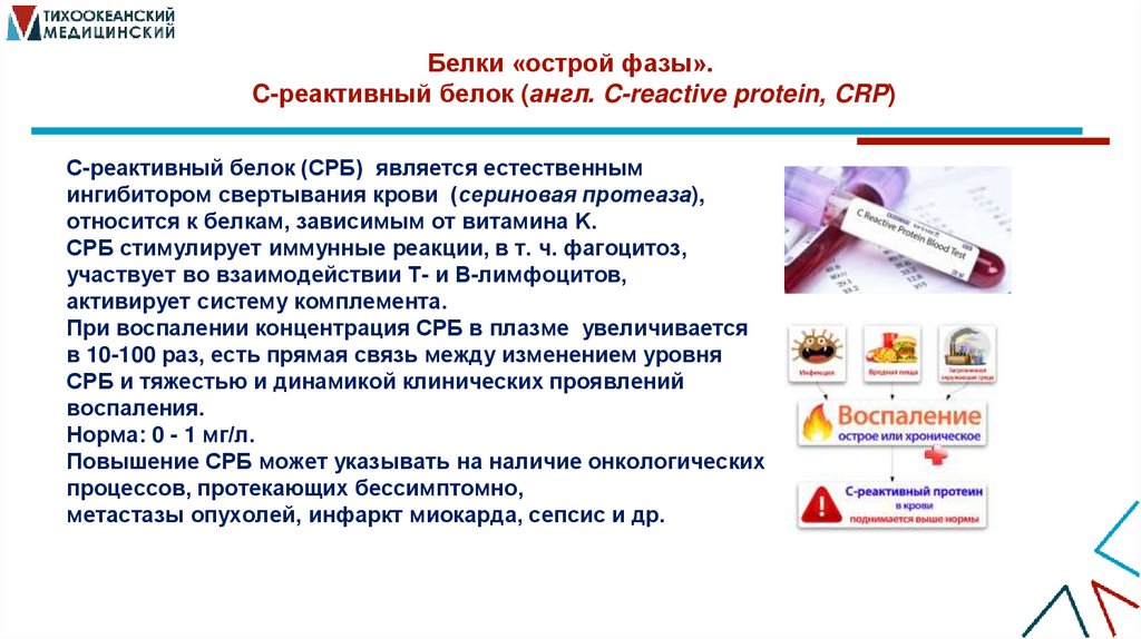Белки «острой фазы». C-реактивный белок (англ. C-reactive protein, CRP)