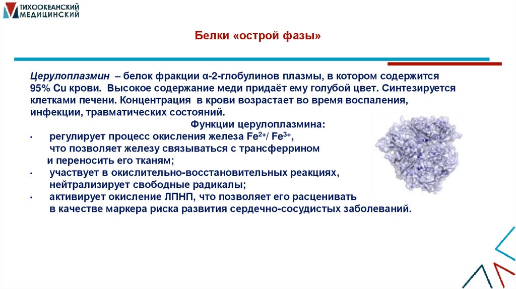Белки «острой фазы»