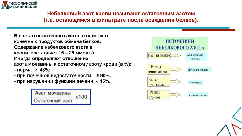 Небелковый азот крови называют остаточным азотом (т.е. остающимся в фильтрате после осаждения белков).