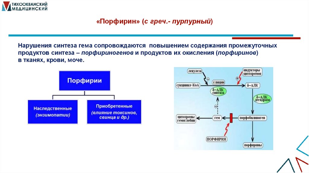 «Порфирин» (с греч.- пурпурный)