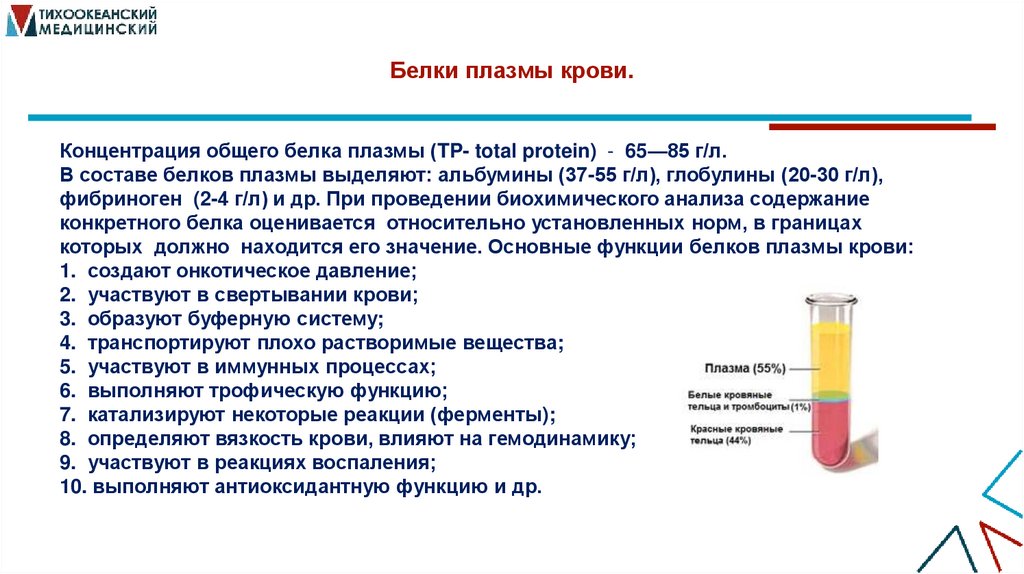 Белки плазмы крови.