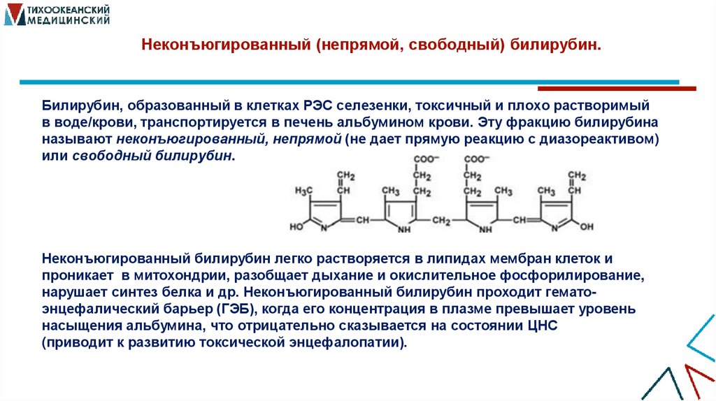 Неконъюгированный (непрямой, свободный) билирубин.