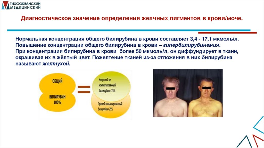 Диагностическое значение определения желчных пигментов в крови/моче.