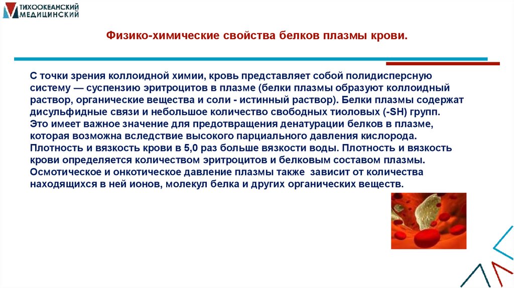 Физико-химические свойства белков плазмы крови.
