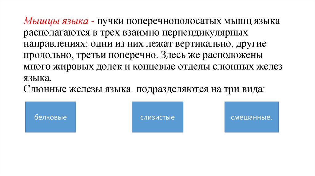 Мышцы языка - пучки поперечнополосатых мышц языка располагаются в трех взаимно перпендикулярных направлениях: одни из них лежат