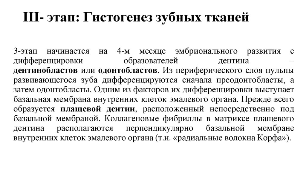 ІІІ- этап: Гистогенез зубных тканей