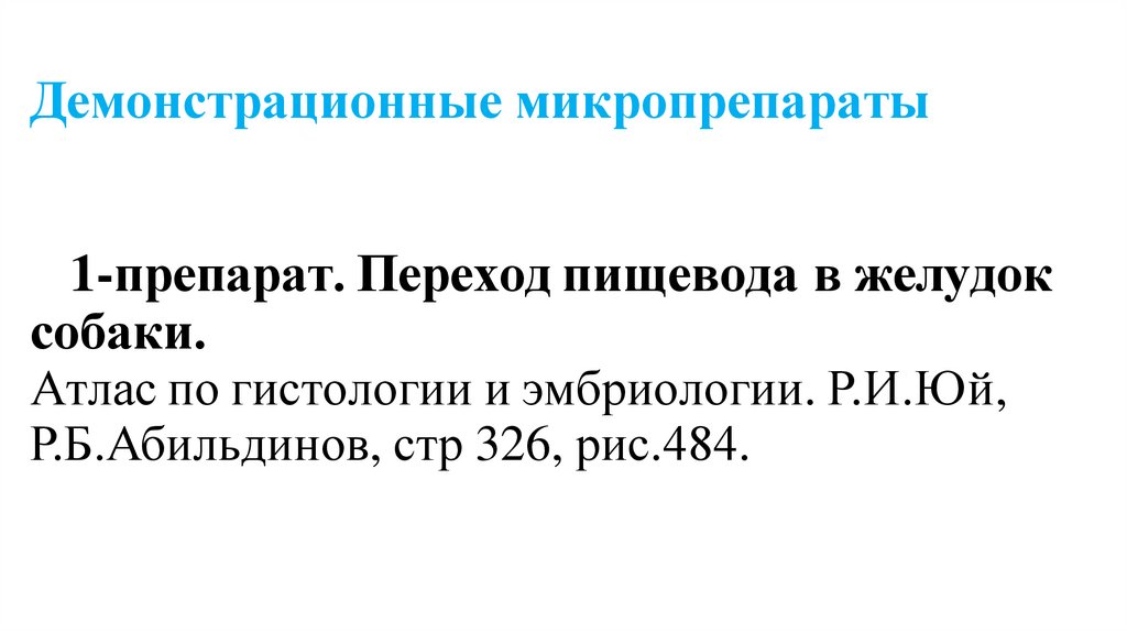 Демонстрационные микропрепараты