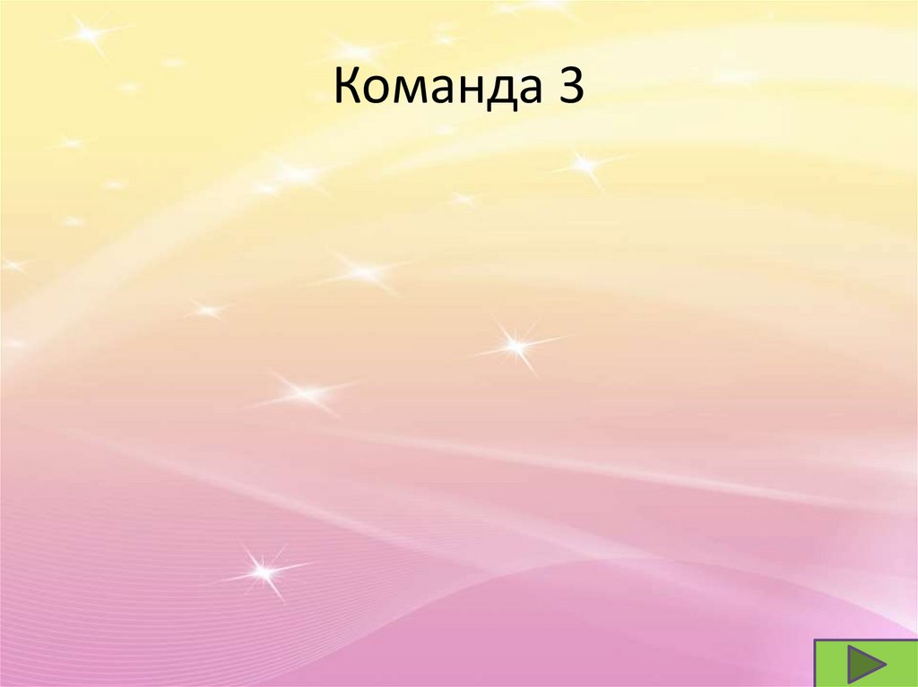 Команда 3