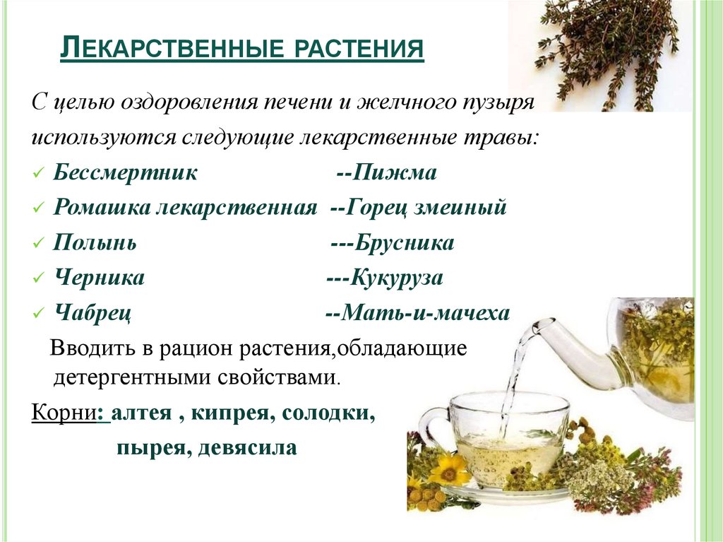 Лекарственные растения
