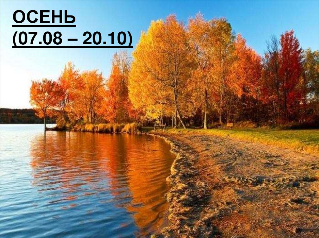 ОСЕНЬ (07.08 – 20.10)