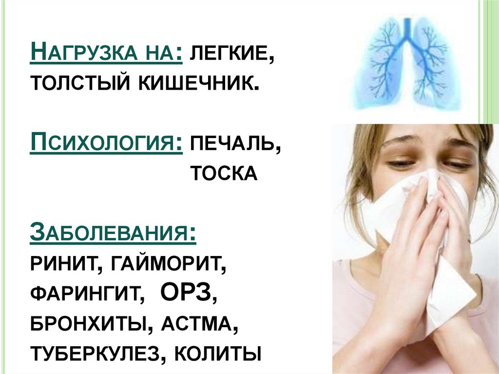 Нагрузка на: легкие, толстый кишечник. Психология: печаль, тоска Заболевания: ринит, гайморит, фарингит, ОРЗ, бронхиты, астма,