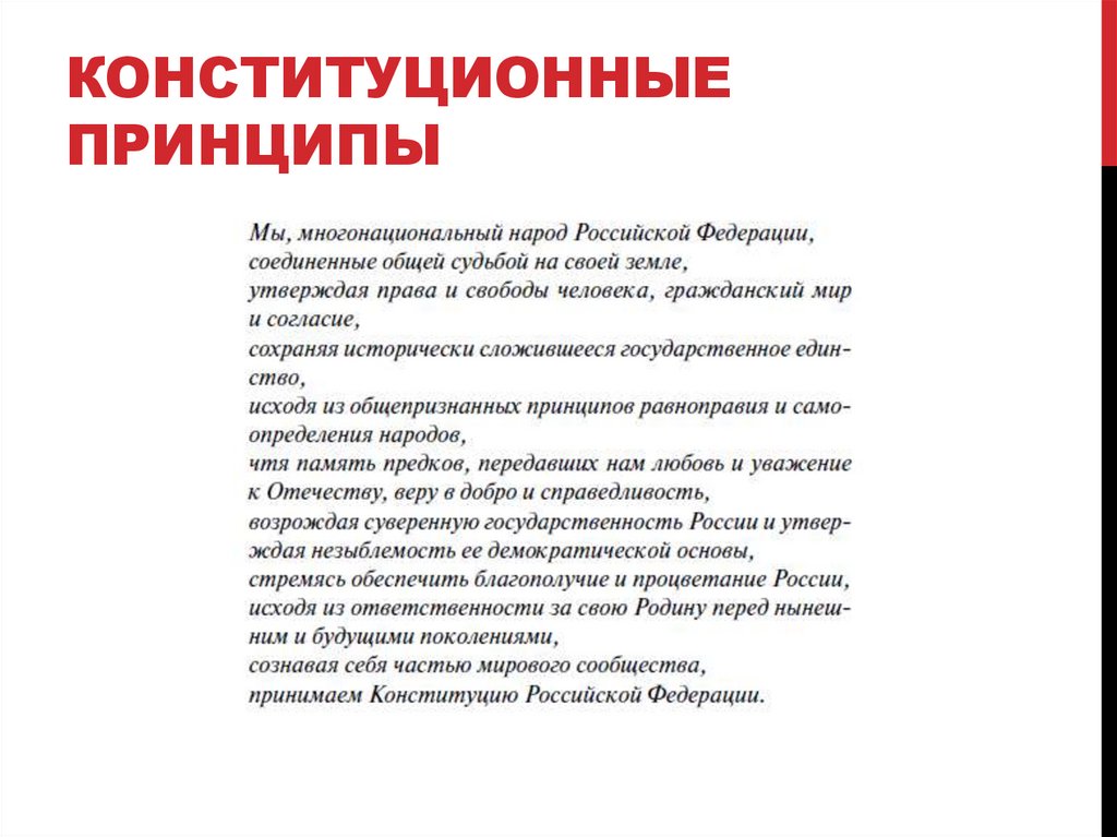 Конституционные принципы