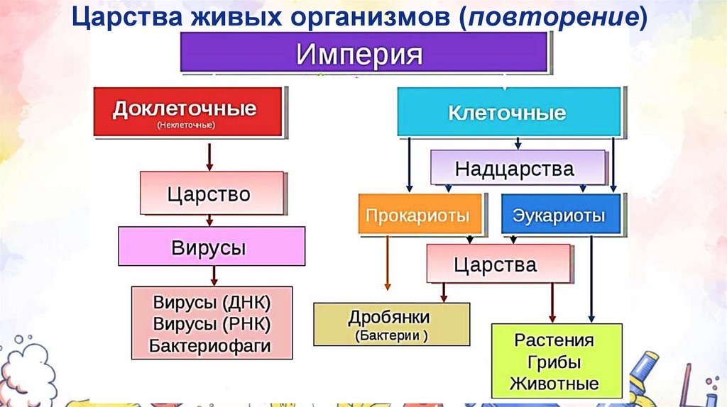 Царства живых организмов (повторение)
