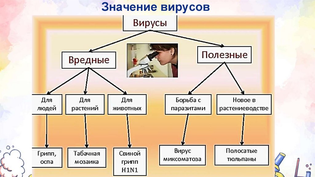 Значение вирусов