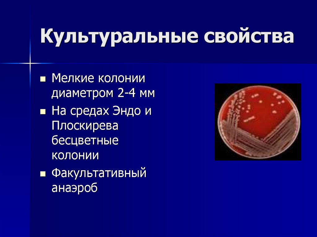 Культуральные свойства