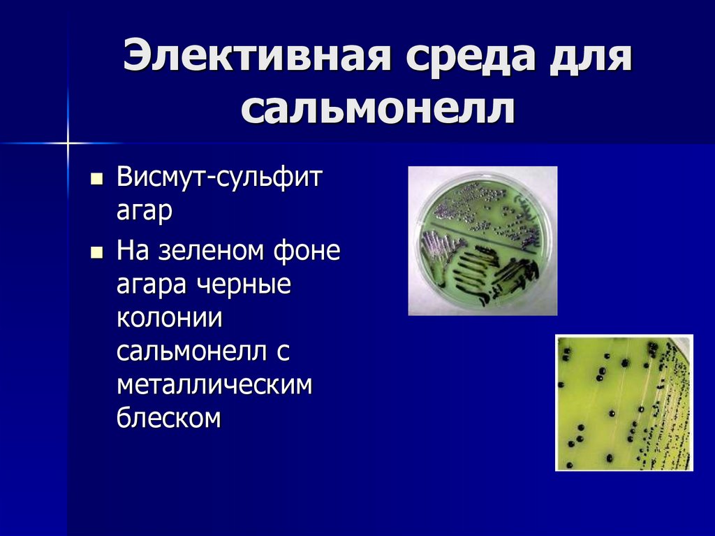 Элективная среда для сальмонелл