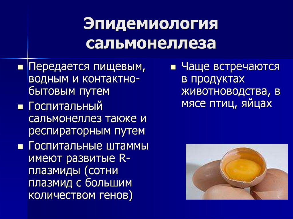 Эпидемиология сальмонеллеза