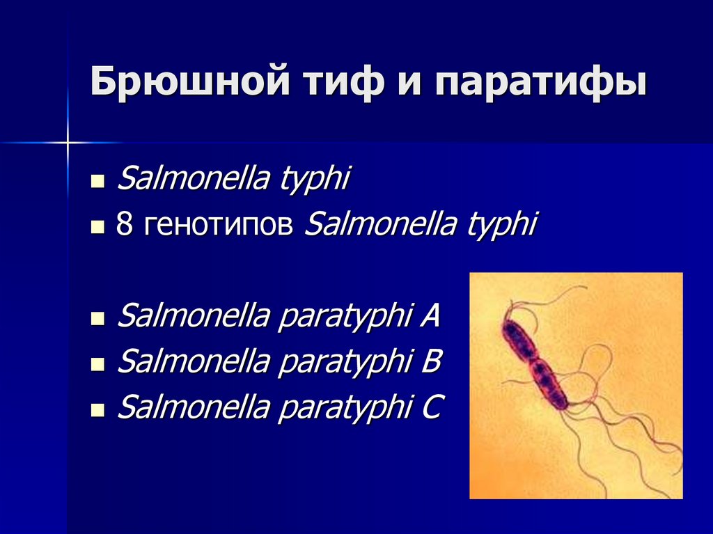 Брюшной тиф и паратифы